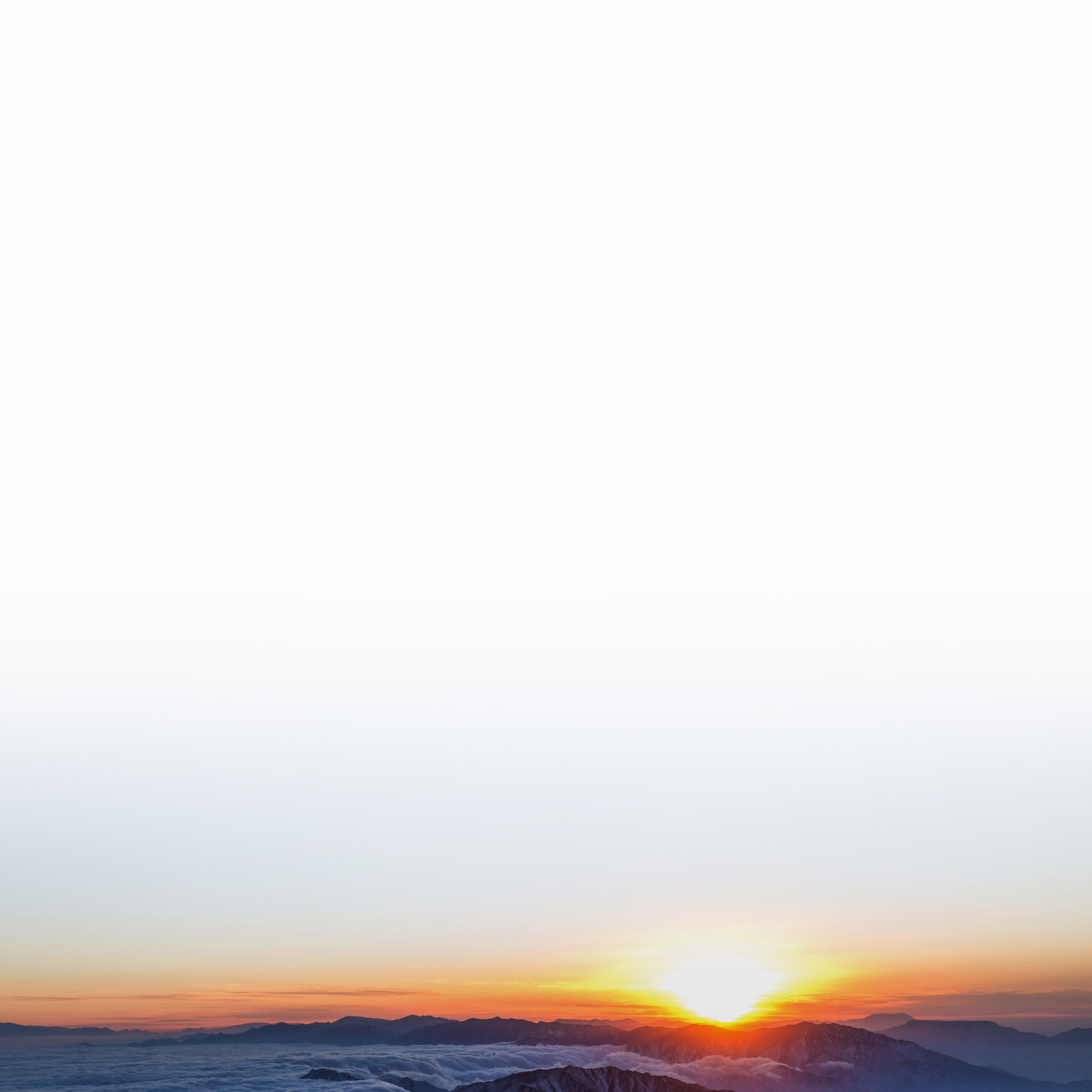 優(yōu)質(zhì)的產(chǎn)品質(zhì)量